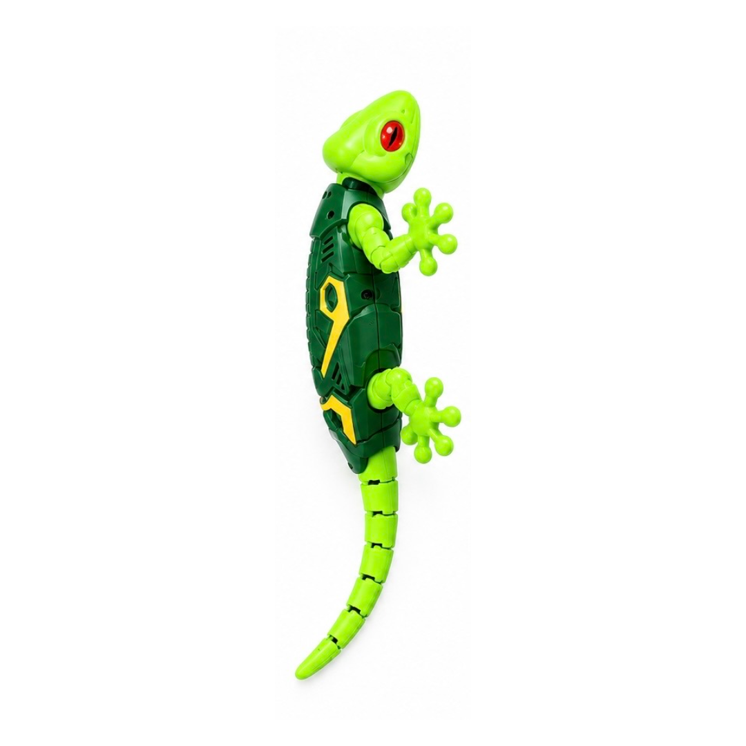 Geckora