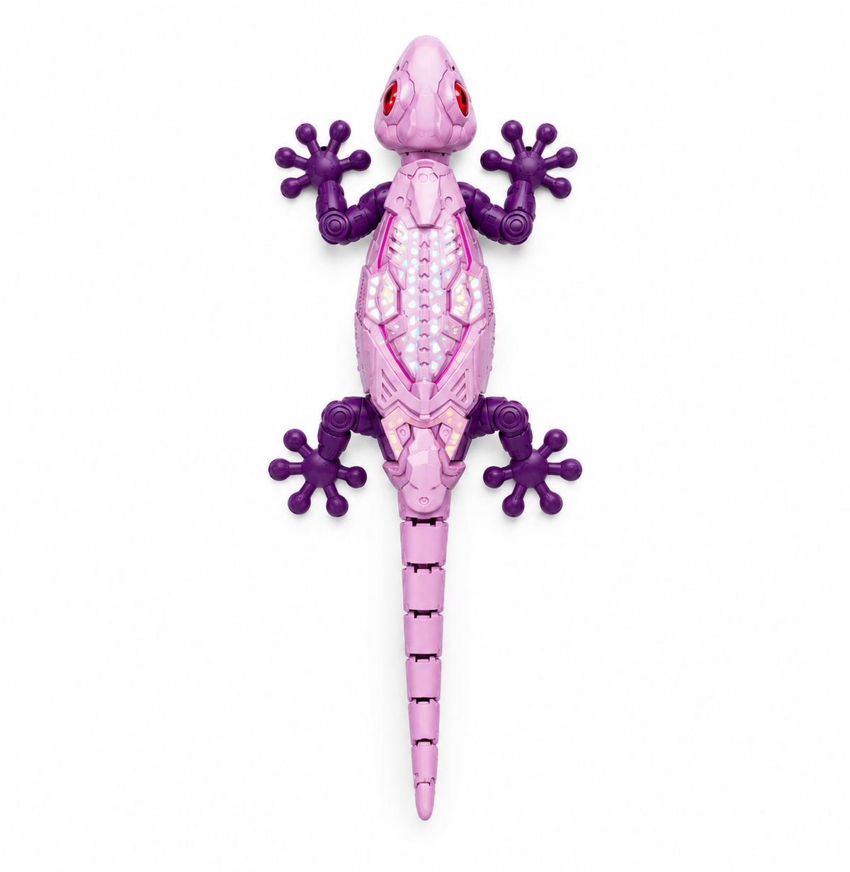 Geckora